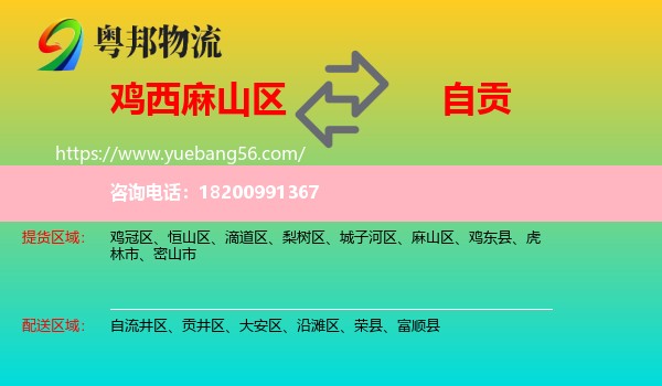 麻山區(qū)到自貢物流